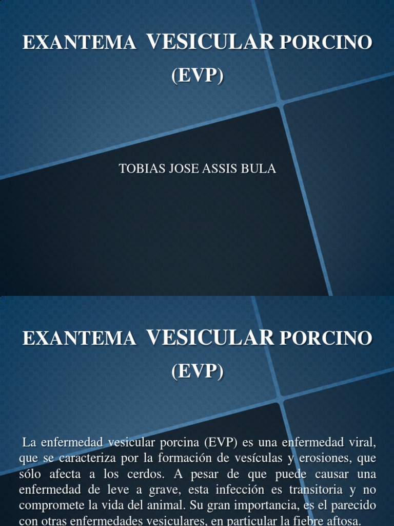 Exantema Vesicular Porcino: Diagnóstico y Tratamiento | PDF | Ciencia y ...