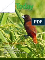 Download Rice Today Vol 12 No 2 by Rice Today SN135494737 doc pdf