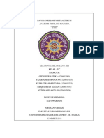 Download OTOT PADA MANUSIA by Cipto Suriantika SN135508894 doc pdf