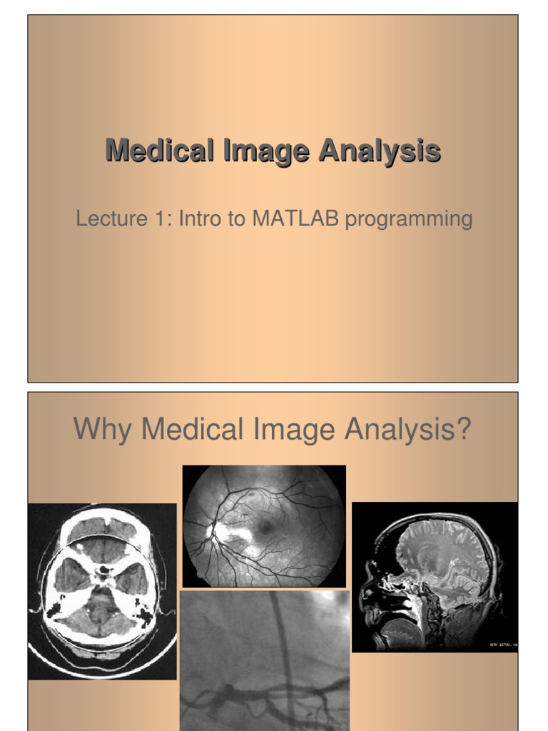 F1.pdf Matlab Medical Imaging
