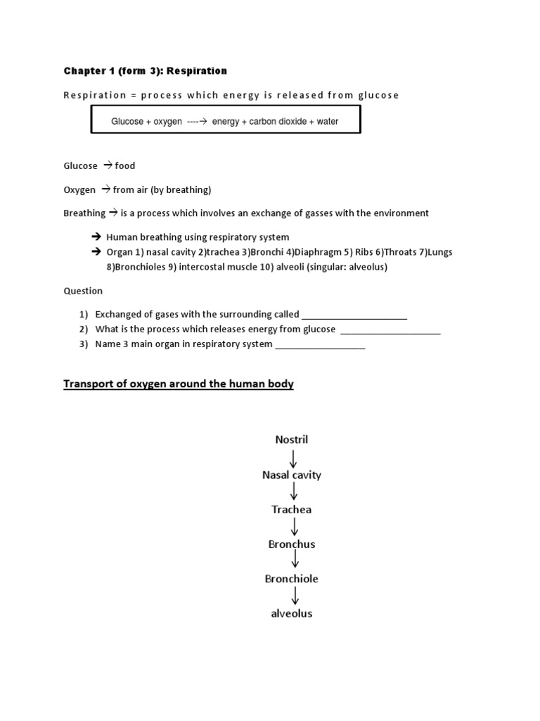 Transport of Oxygen Around The Human Body: Chapter 1 (Form 3 ... Biology Diagrams