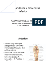 Neurovascularisasi Extremitas Inferior-fixed