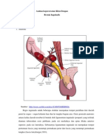 Askep Hernia Ingunalis