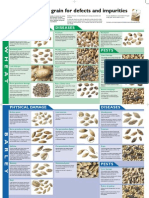 HGCA inspecting grain defects