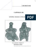 Istoria Veche a Stelnicii Monografie Vol I Capitolul III Autor Ion Munteanu