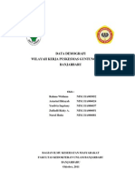 Data Demografi PKM Guntung Payung