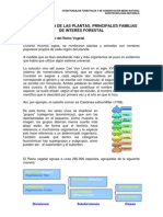 Clasificación plantas interés forestal