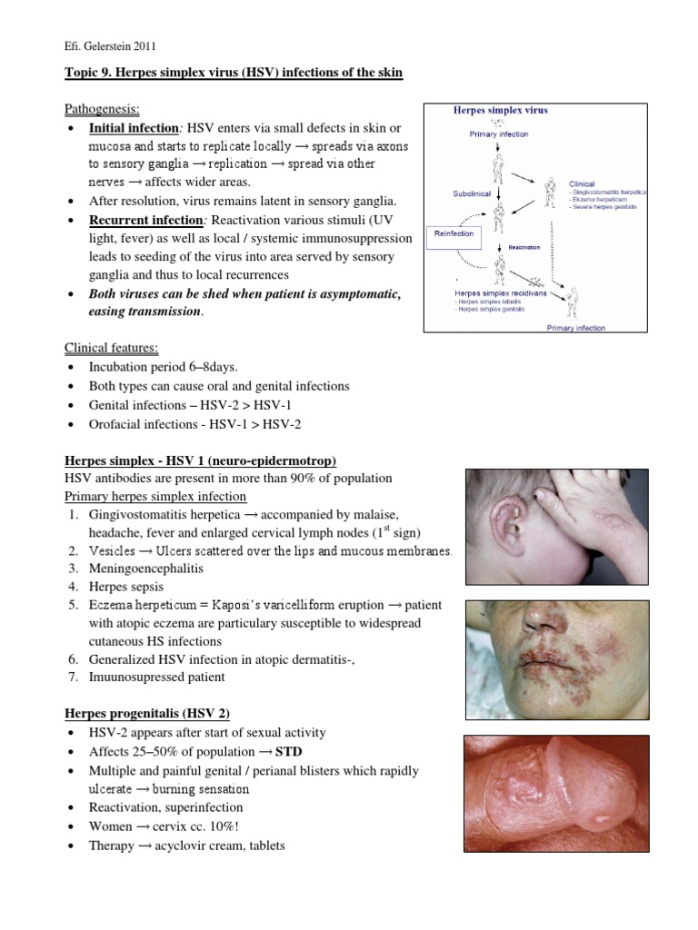 Herpes Simplex Virus Incubation Period | PDF | Science & Mathematics