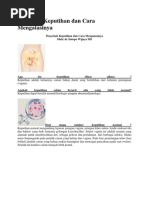 Download Penyebab Keputihan Dan Cara Mengatasinya by Rahwana Sinta Dewi SN135562781 doc pdf