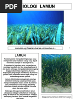 Download Pertumbuhsn Dan Produktivitas Lamun by NabbNab Febriani Nabfeb SN135564874 doc pdf