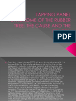 Tapping Panel Syndrome of The Rubber Tree