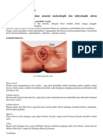 Skenario 1 Blok Reproduksi (Leukorea)