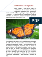 La Mariposa Monarca y La Migración