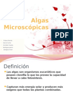 Equipo 3 - Algas Microscopicas