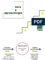 Agroecologia