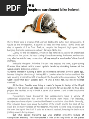 Woodpecker Inspires Helmet