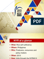 2013 National Year of Rice Briefer