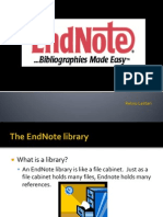 Endnote (20 Maret)