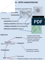 01 Protozoa