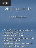 Slide-Sistema Urinario IV