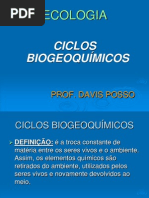 ciclos-biogeoquimicos1-1205374094921421-4