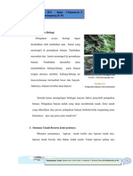 2 - Pembentukan Tanah PDF