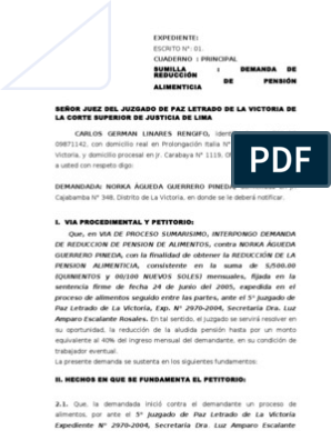 Demanda de Reduccion de Alimentos | PDF | Manutención de los hijos | Demanda  judicial