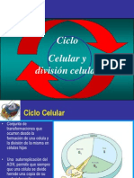 clase 612 mitosis y meiosis.pdf