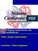 clase 912 cardiovascular.ppt