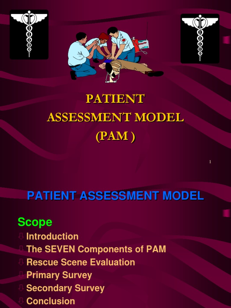 Patient Assesment | PDF | Pulse | Medical Specialties