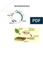 Bioteknologi