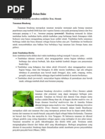 Download Tanaman Binahong Anredera Cordifolia by Ameellia Phobiia Diplopoda SN135699122 doc pdf
