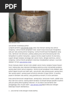 Download Cara Ternak Kroto by Syaozi SN135701888 doc pdf