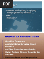 Download genetika by margareth Datang SN13570209 doc pdf