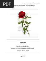 Download Post Harvest Handling of Cut-flower Rose by Subash Dahal SN135712672 doc pdf