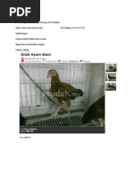 Download harga ayam siam by Hairul Heruls SN135725717 doc pdf