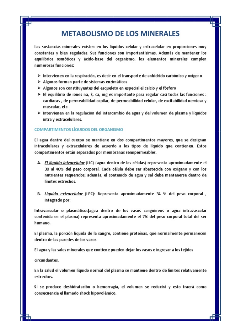Metabolismo y Regulación de Minerales | PDF | Potasio | Dieta y nutrición