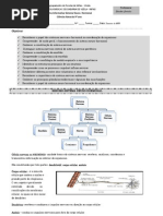 Ficha de Trabalho Informativa .Sistema Nervoso