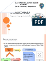 Paraoxonasa 1