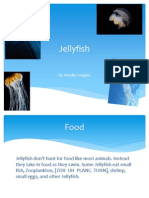 3 Amelia Jellyfish