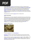 Download Burial Methods by Krisha Desai SN135744109 doc pdf