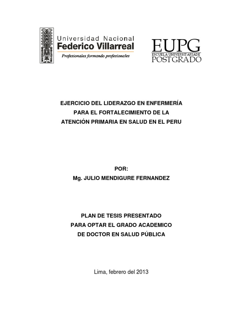 LIDERAZGO EN ENFERMERÍA 2013