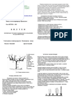 Formiranje Uzgojnog Oblika Kod Novih Zasada Vinograda