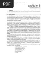 09PE Capitulo 09 Gestsistemica r1