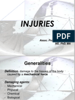Injuries 2012 2013