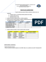 Practica Introductoria RND PDF