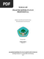 Download Makalah Praktik Keperawatan Profesional by SOPANDI SN135831093 doc pdf