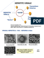 Hepatite Cu Transmitere Enterica