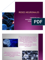 Redes Neuronales Presentacion