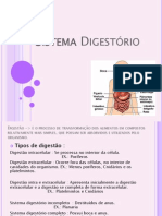 Sistema Digestório - AC2